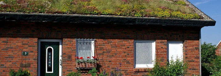 Dachbegrünung auf einem Ziegelhaus mit umlaufendem Kiesstreifen und Abrutschschutz.